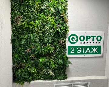 ОРТО Клиника г. Тюмень